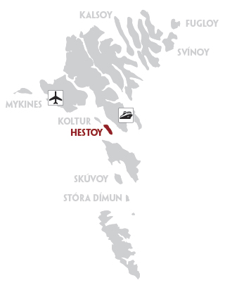 hestoy.jpg