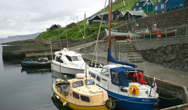 hestur-2.jpg